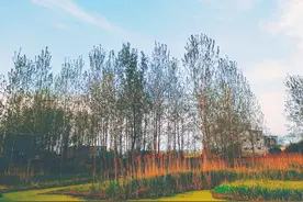我长成什么样，关你什么事图片
