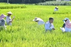 农学研究生有前途吗图片
