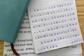 #手抄003——《项脊轩志》庭有枇杷树，吾妻死之年所手植也……图片
