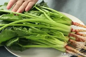 爱吃菠菜的人要注意，不要和这四种食材一起吃，否则容易吃坏肚子图片
