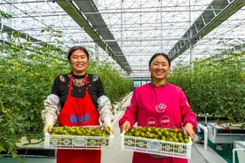 合肥名气“响当当”的特产！不仅好吃好喝，还能……图片
