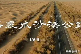 只有荒凉的沙漠，没有荒凉的人生——自驾塔里木沙漠公路图片
