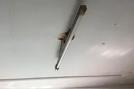 更换Led吸顶灯作业图片