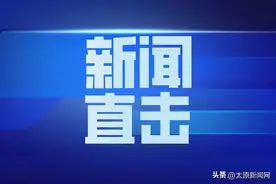 太原：宠物市场“小宠”挺受宠图片