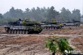 兵器中的豹、虎、狮——有历史，有大小，还有长幼传承图片