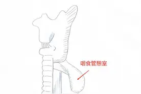 七旬老人进食困难半年暴瘦30斤 多学科协作重塑患者“生命通道”图片