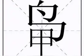一个甲一个鸟念什么？这个罕见姓氏正在逐渐消失…图片