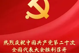 铁道兵参加中国共产党全国代表大会代表名录 原创 梅梓图片