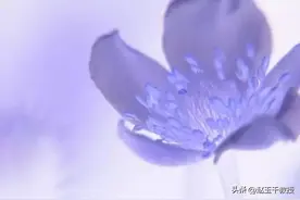 体检查出前列腺钙化灶，看到这个你就应该“坐不住”了图片