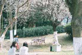 成都二环被低估的宝藏地，0元就能看粉色花海！图片