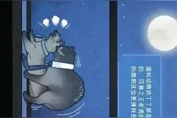 动物交配方式对照表格，看完你会发现原来大自然这么神奇图片