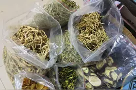 5种适合夏季晒干的蔬菜，2种焯水，3种直接晒，留到秋冬炒肉特香图片