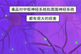 吸食毒品后，TA的身体竟发生了这些惊人的变化……图片