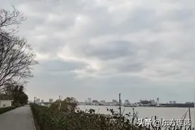 上海的公园：滨江森林公园图片