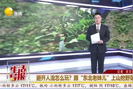 东北老妹儿带你吃｜“野菜之旅”欢乐多！图片