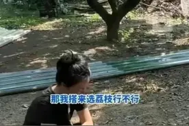 窝棚违法，难道农民也不该遮风挡雨吗？图片