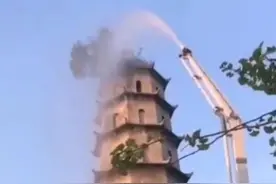 我老家宝塔顶上这棵神奇的树吧，无土无水自然生长长达400多年图片