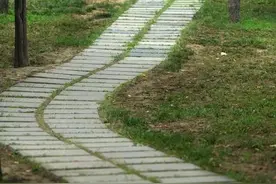 散文「路」图片