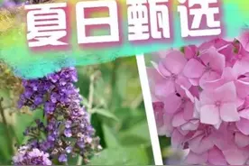 彩虹湾公园夏日甄选的正确打开方式→图片
