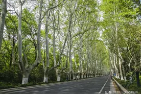 假如可以自由去旅行了，此生必去的6个地方，你最想和谁去？图片
