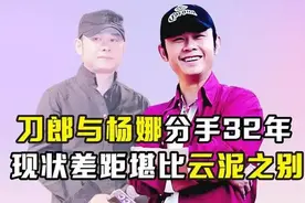 刀嫂谈刀郎：他非常敏感！其前妻杨娜，传闻她还在为生计苦于奔波图片
