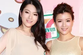 明明毫无关系，却被说像双胞胎，这10对港星让人傻傻分不清图片