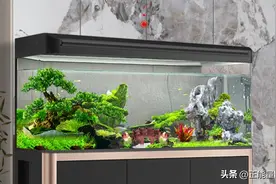 海鲜水族箱安装标准规范图片