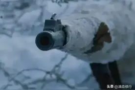 在耐心等待猎物出现的时候要“安静的像块石头”图片