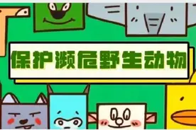 非法收购出售6389颗大白鲨牙齿 严惩！图片