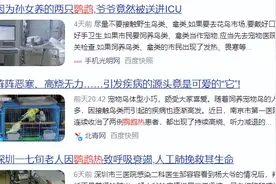 养了鹦鹉后突然出现发烧、昏迷、头痛？爱养鸟的朋友要注意这种疾病图片