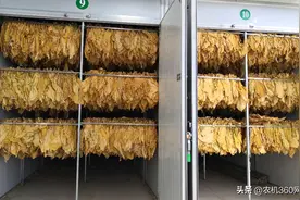 双碳目标下，空气源热泵在农业烘干领域的探索与应用图片