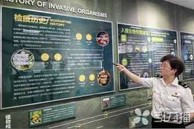 来认识外来入侵生物！苏州新添一家科普馆图片