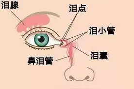 尴尬！为什么人大哭的时候会流鼻涕图片