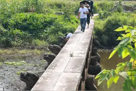 原来，纳溪也“藏”着这么多座龙桥图片