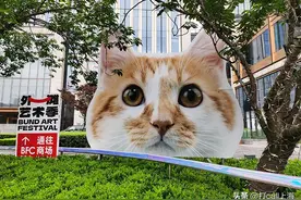喵喵喵，“外滩猫街”即将落下帷幕，想打卡的快点来图片