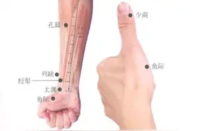 穴位图解——手太阴肺经经穴图片