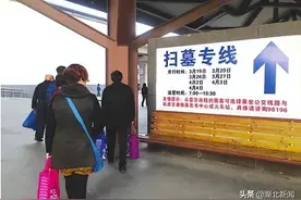 清明节武汉公交开通13条祭扫专线 地铁临时调整运行计划图片