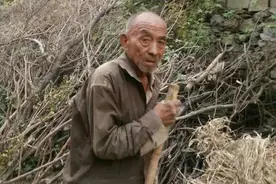 甘肃一老头放羊时，无意间发现，乱石缝中，竟然有块发光的金属片图片