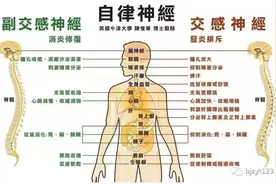 中西医学的看法：植物神经功能失调是“万病之源”吗？图片