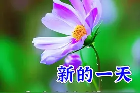 早安图片（二十三）｜快乐每一天，健康永相伴！图片