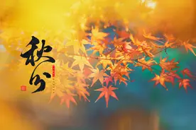 今日秋分！怕冷、气虚劳累、消化不好…能自己艾灸吗？怎么做？图片