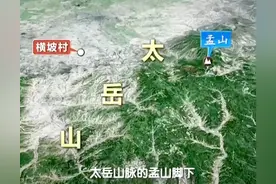 18年山西闹蛇灾，数百条蛇一夜间“自杀”，两位博士调查结果如何图片