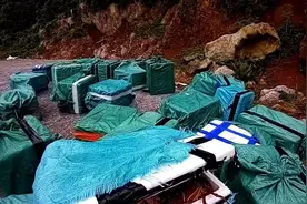 案值36万！2吨涉嫌走私活体龙虾在百色被查获图片