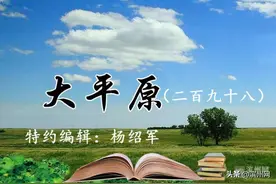 大平原（二百九十八）|温暖童年的风筝图片