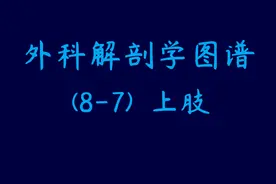 图示集‖外科解剖学图谱(8-7)上肢图片