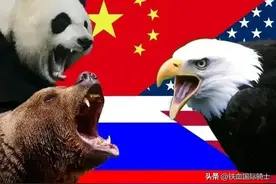 乌克兰阵亡士兵器官被摘除售卖图片