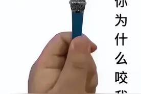 痒到百爪挠心？这种病每逢夏天作妖，专挑孩子下手图片