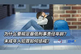 12岁男孩性侵同岁脑瘫亲戚免于刑罚 未成年人犯罪如何惩戒？图片