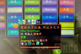 魔兽世界怀旧服震地者七小时bt灵车，欢迎超越，发给大家避坑图片
