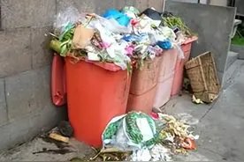 虫害控制基本知识图片